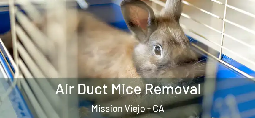  Air Duct Mice Removal Mission Viejo - CA