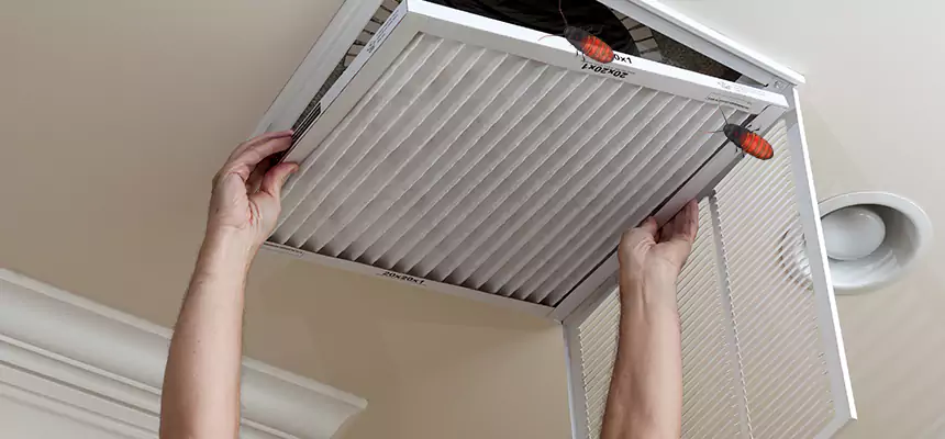 Preventive Cockroach-Proofing for Ducts in Mission Viejo