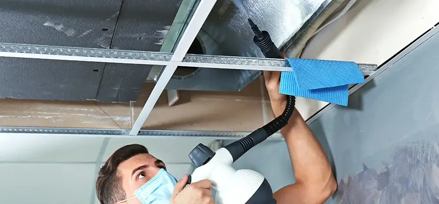 Our Air Duct Rodent Removal Services in Mission Viejo, CA