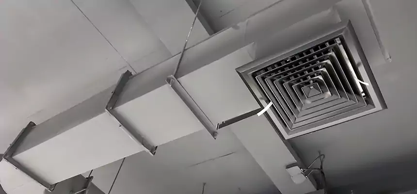 Our Pest Removal From Ducts Services in Mission Viejo, CA