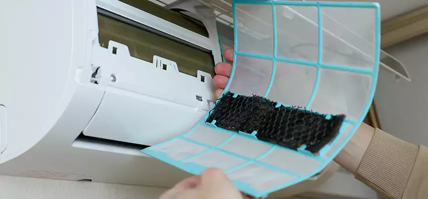 Gentle Ductwork Odor-Control Pet Dander Duct Cleaning in Mission Viejo, CA