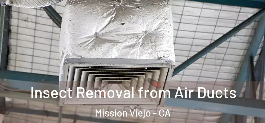  Insect Removal from Air Ducts Mission Viejo - CA
