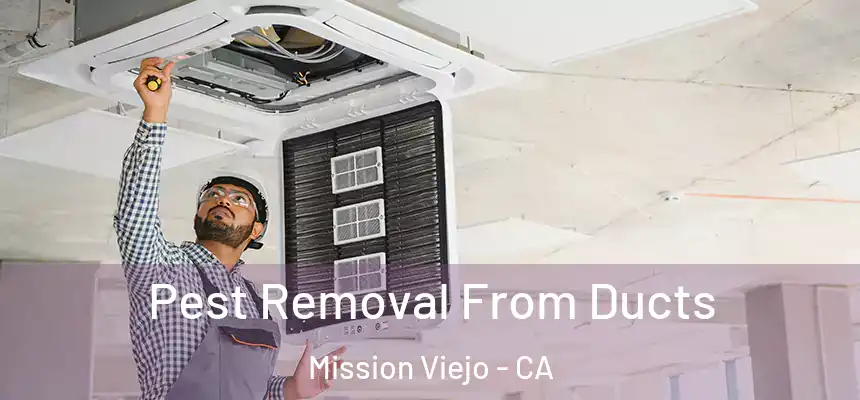  Pest Removal From Ducts Mission Viejo - CA