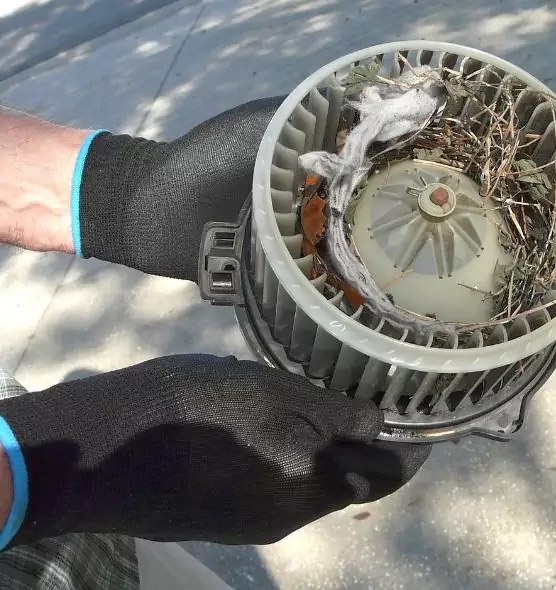 About Air Duct Mice Removal in Mission Viejo, CA