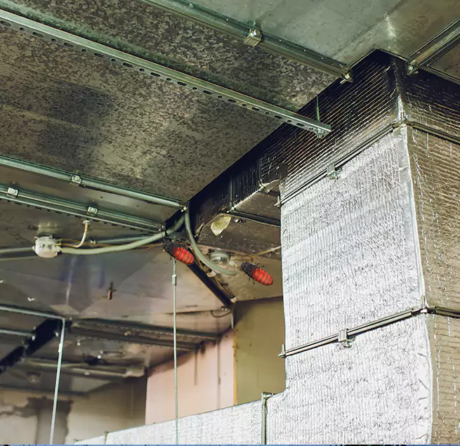 Why Homeowners & Businesses Trust Us in Mission Viejo, CA?