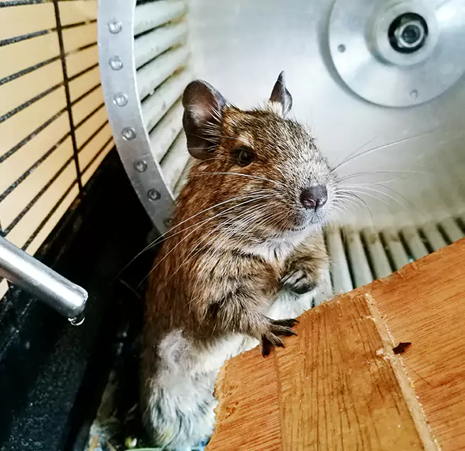 Why Homeowners & Businesses Trust Us Mission Viejo, CA