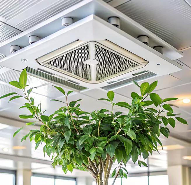 Why Homeowners & Businesses Trust Us in Mission Viejo, CA